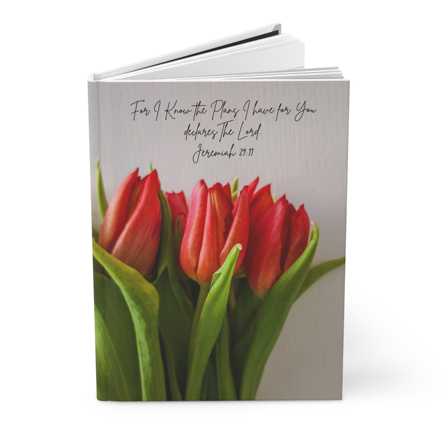 Jeremiah 29:11 Bible verse journal