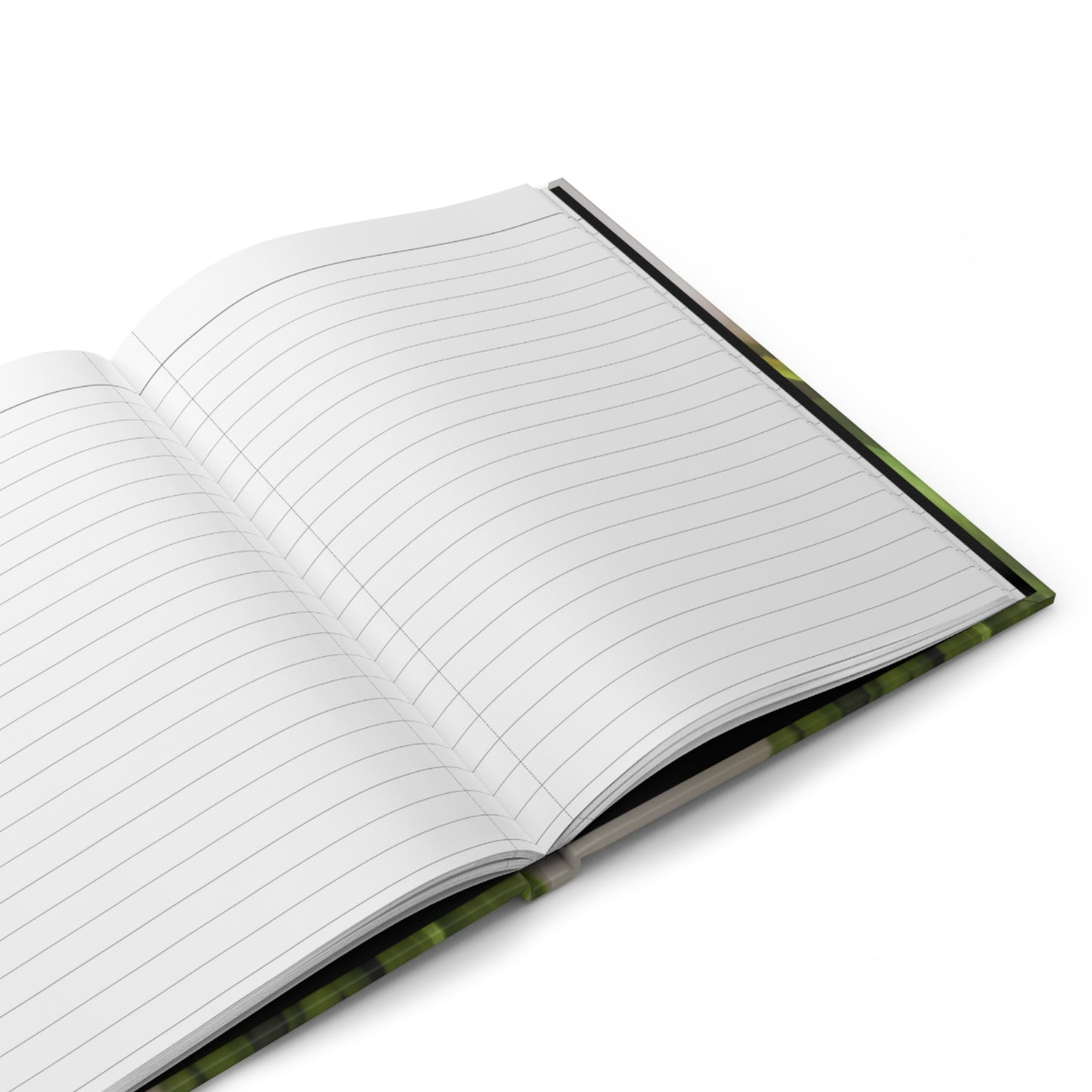 Jeremiah 29:11 Bible verse journal