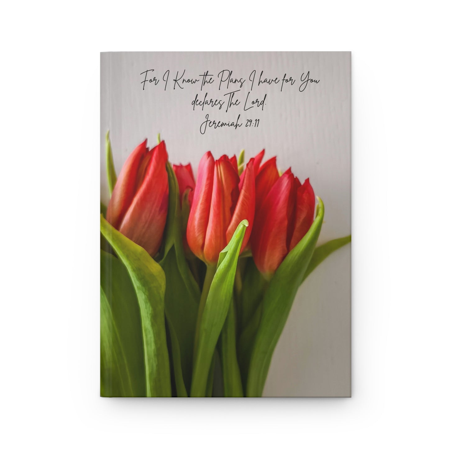 Jeremiah 29:11 Bible verse journal